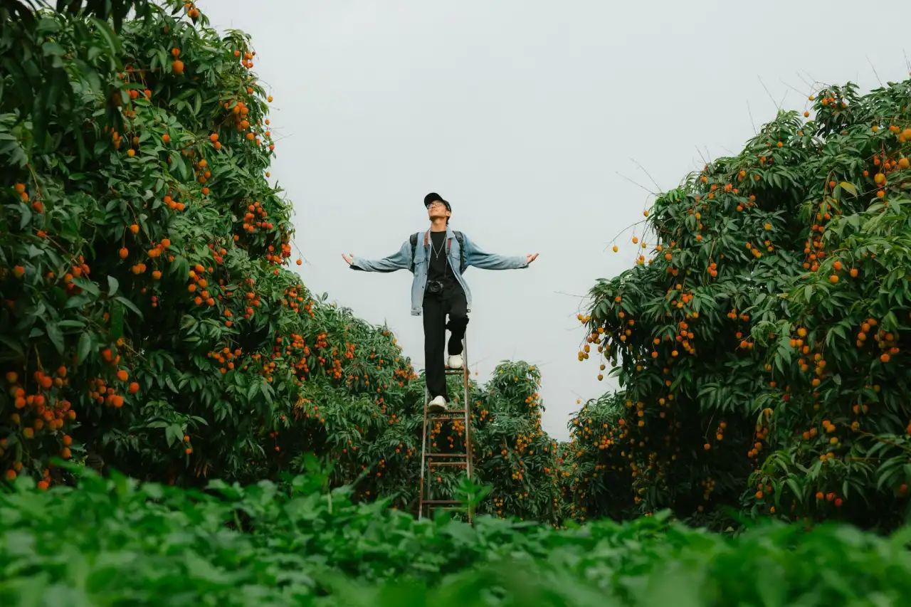 上海政府单位会议执行服务标准：从方案设计到现场落地的规范流程