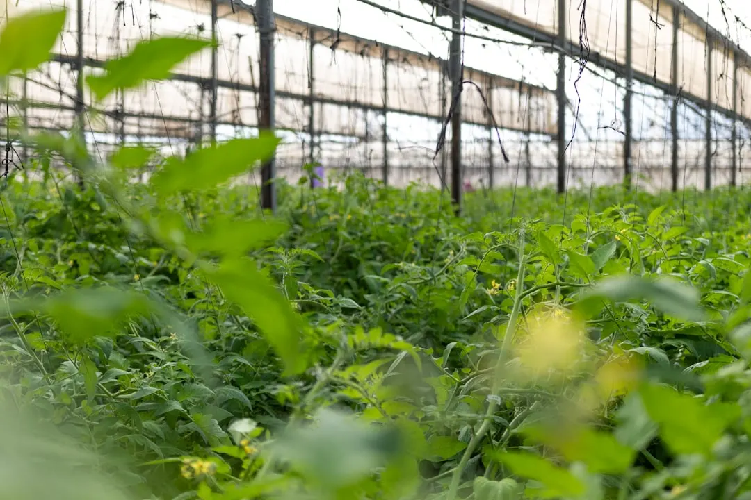 政企庆典仪式执行全流程质量管控关键环节详解